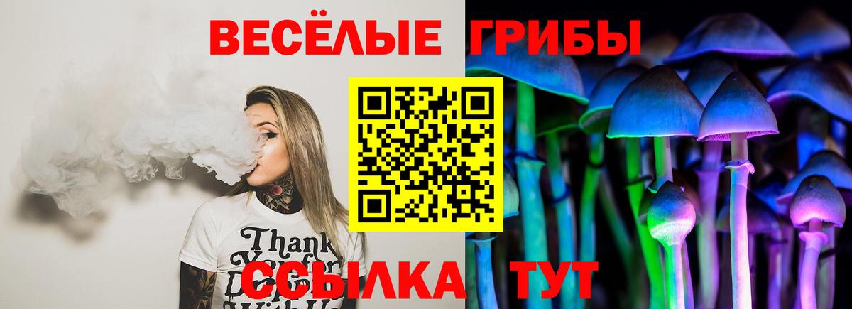 Псилоцибиновые грибы Psilocybe Заволжье