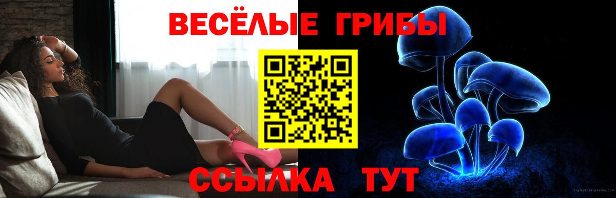 Галлюциногенные грибы Cubensis  Вход с VPN  Заволжье 